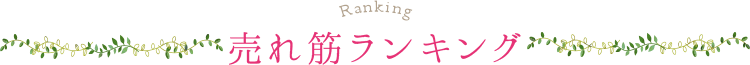 売れ筋ランキング