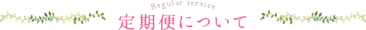 定期便について