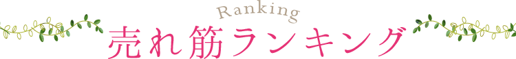 売れ筋ランキング